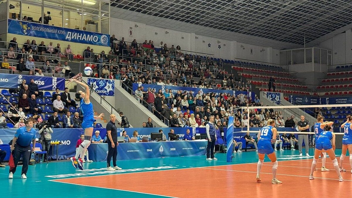    Фото: телеканал «Краснодар»