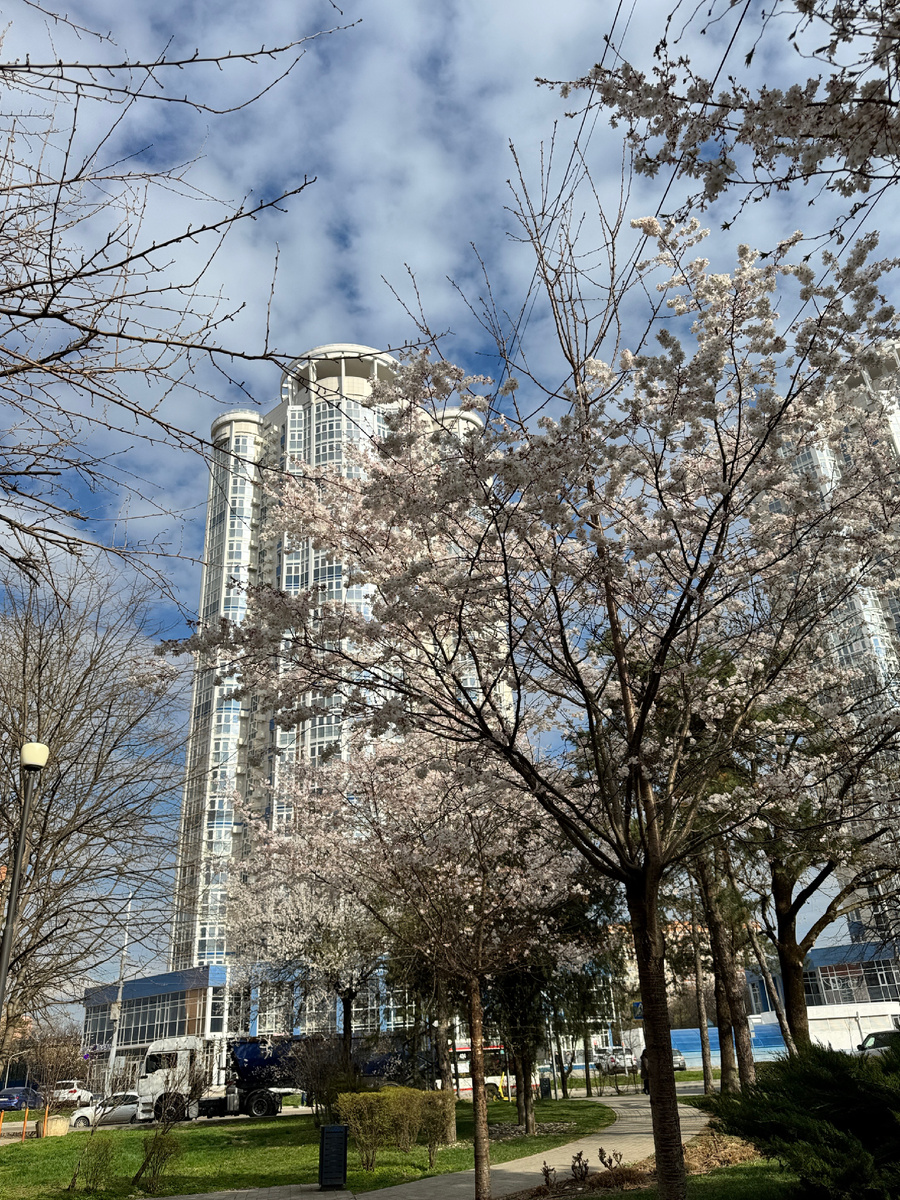 фото автора 