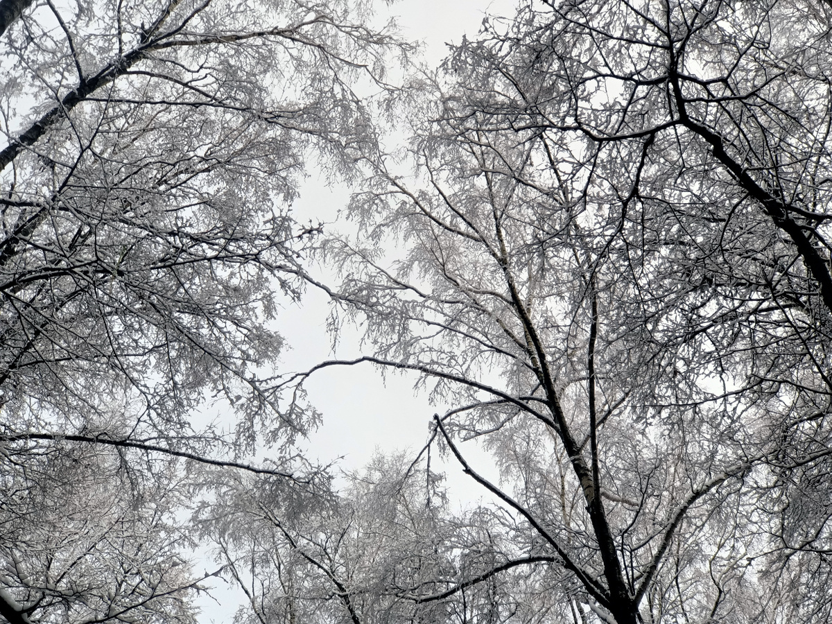 Первый снег. Чёрно-белая городская стилистика