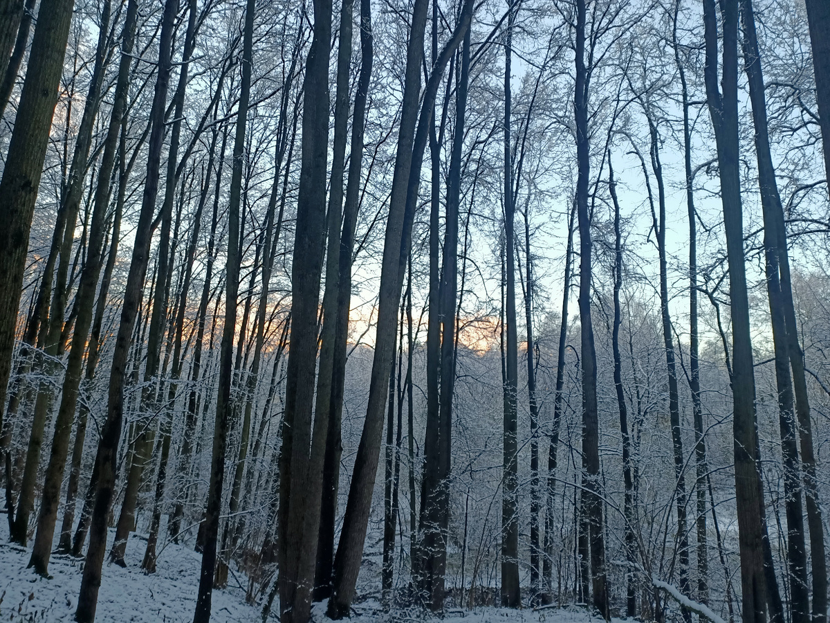 Вечерняя тишина 