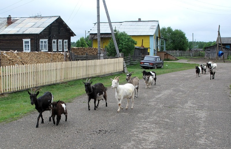 Источник Яндекс-картинки