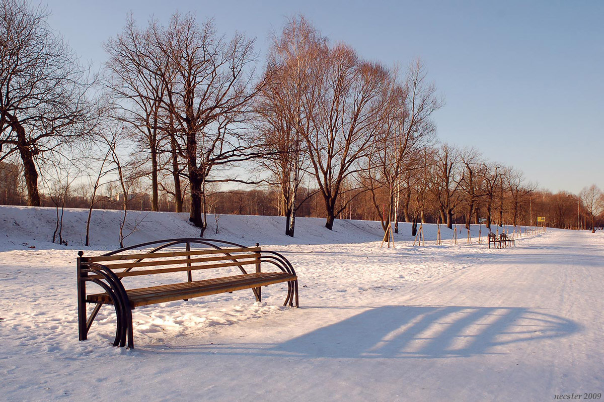 Тут и далее Nikon D50 (кроп)