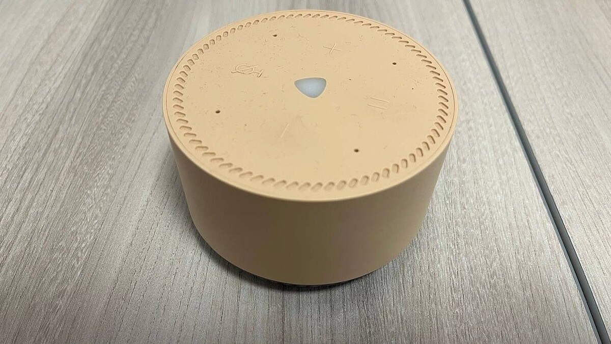    Фото: телеканал «Краснодар»