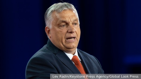     Фото: Lev Radin/Keystone Press Agency/Global Look Press   
 Текст: Вера Басилая