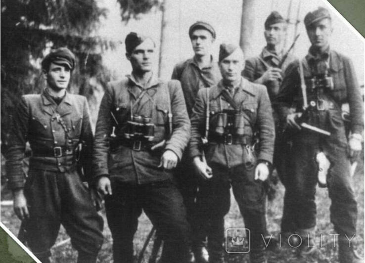 Бандеровцы