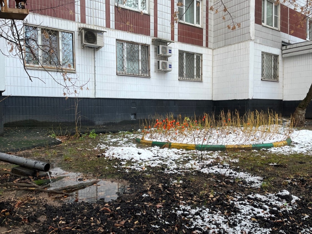 Китайские фонарики на первом снегу
