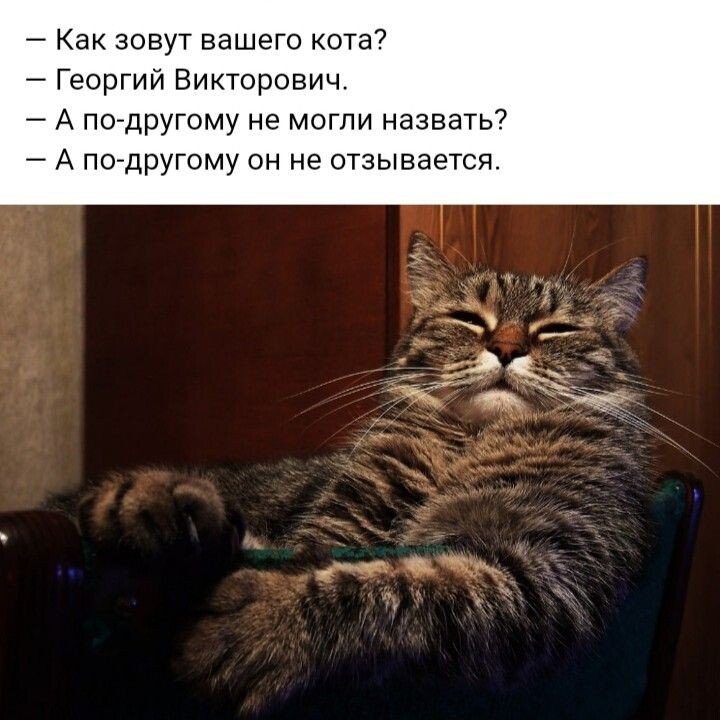 источник Яндекс-картинки