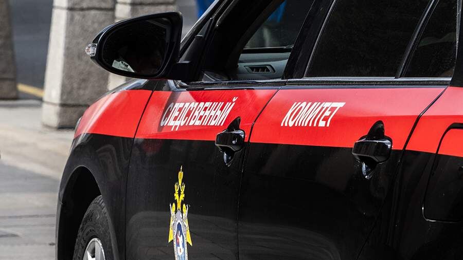    Фото: ИЗВЕСТИЯ/Константин Кокошкин