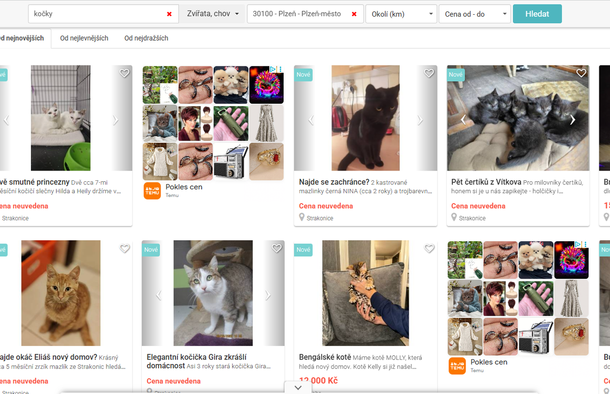 скриншот из базара. Решила поискать котяток у нас тут в городе..