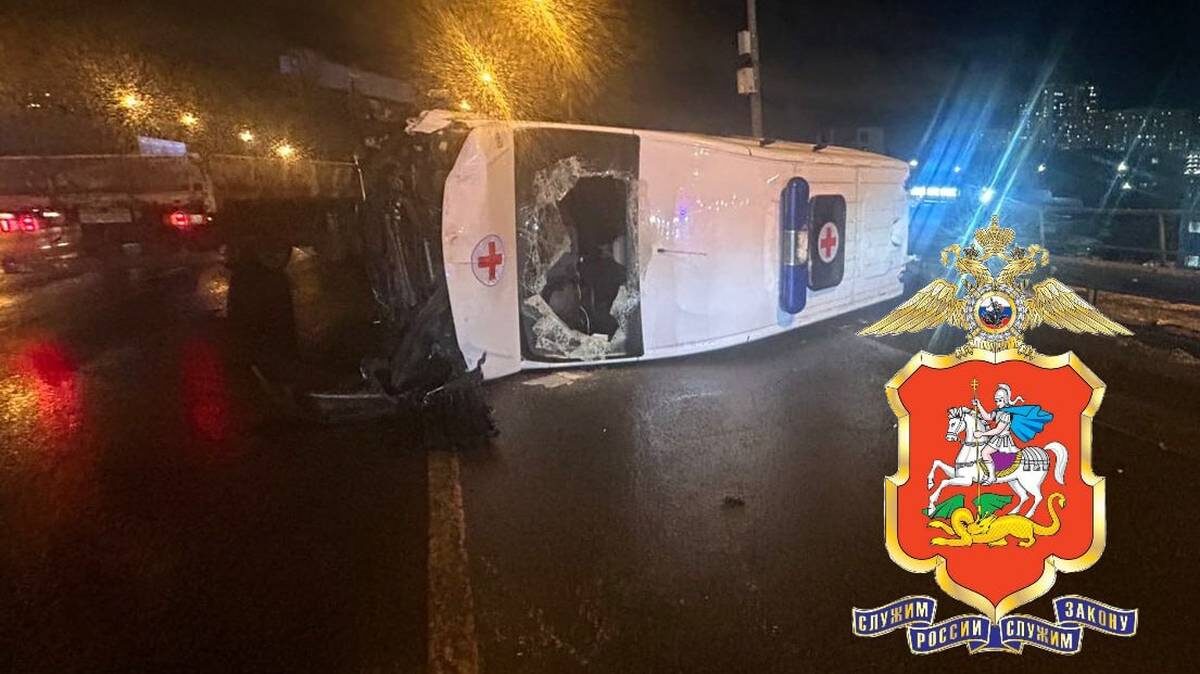    Фото: Подмосковная полиция / Telegram