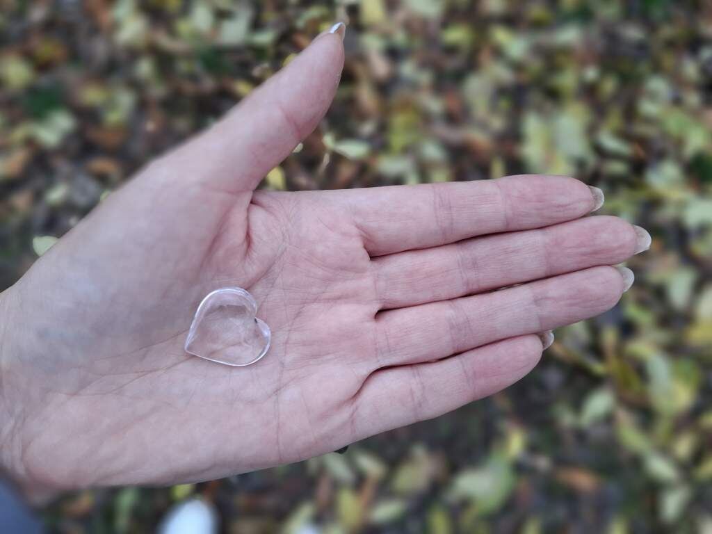    фото "Веселовские вести" Веселовские вести