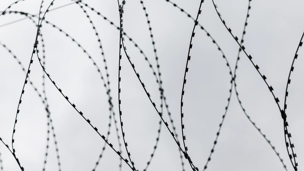    Фото: Sergey Elagin/Business Online/Globallookpress