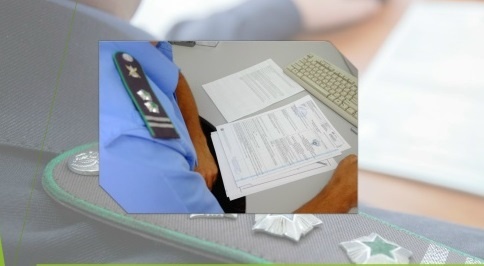    Фото сообщества Россельхознадзора во "ВКонтакте" Татьяна Пшеничная