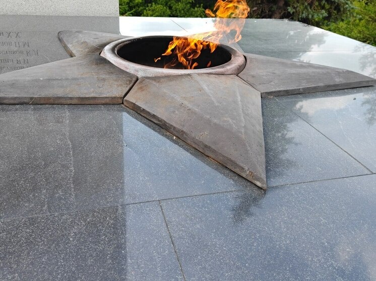     Выставка будет работать бесплатно. Фото из архива "МК в Питере"