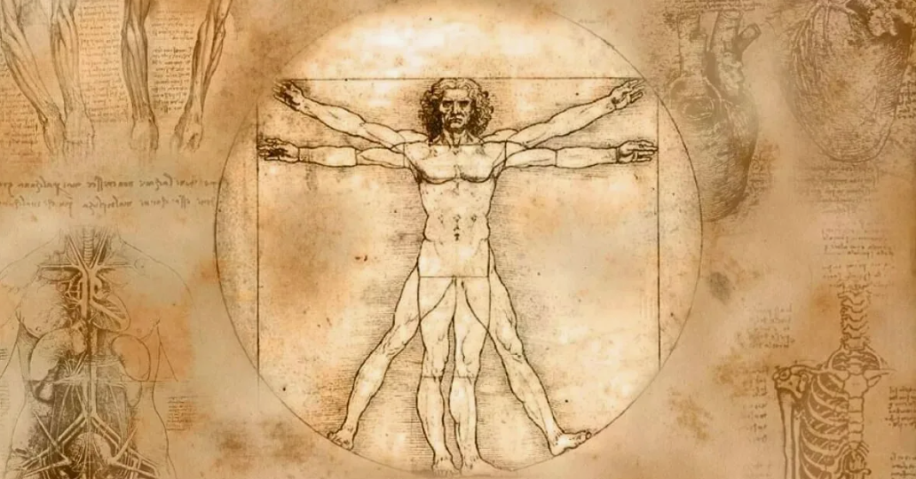 В чём основная идея и смысл рисунка "Витрувианский человек" Леонардо да Винчи