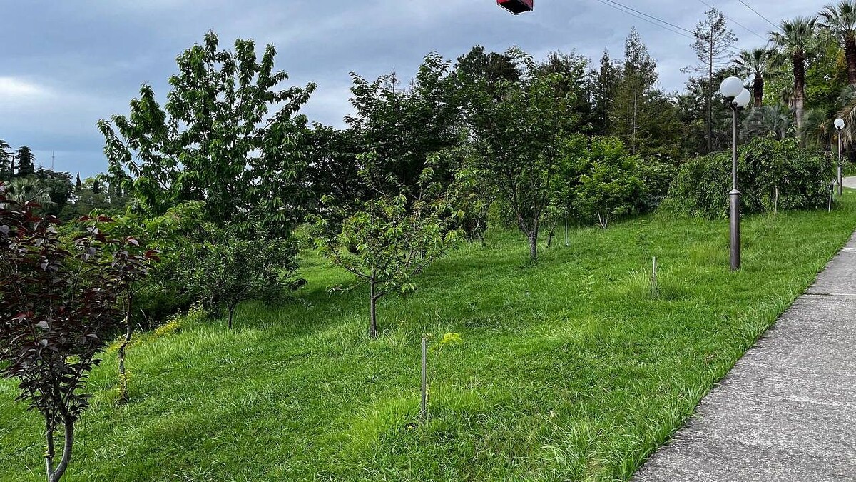    Фото: телеканал «Краснодар»