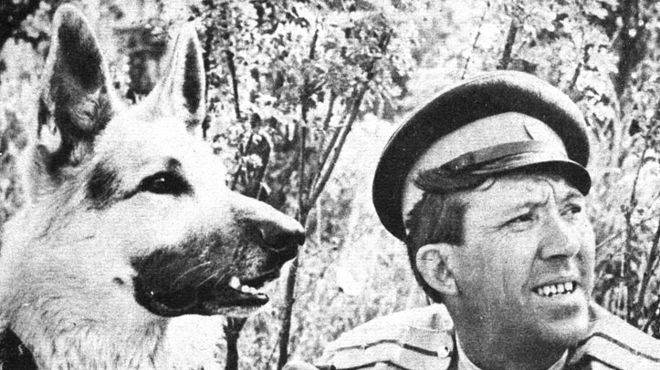 МЫ РАБОТАЕМ.                                                                                                                                              Фото из свободного пользования в Интернете.