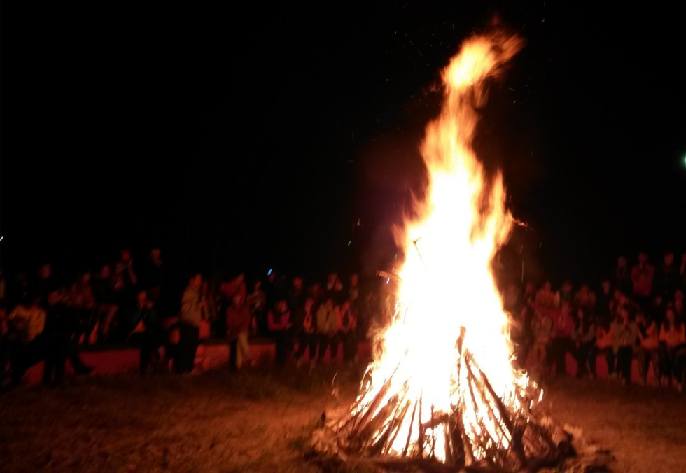 Фото из интернета.