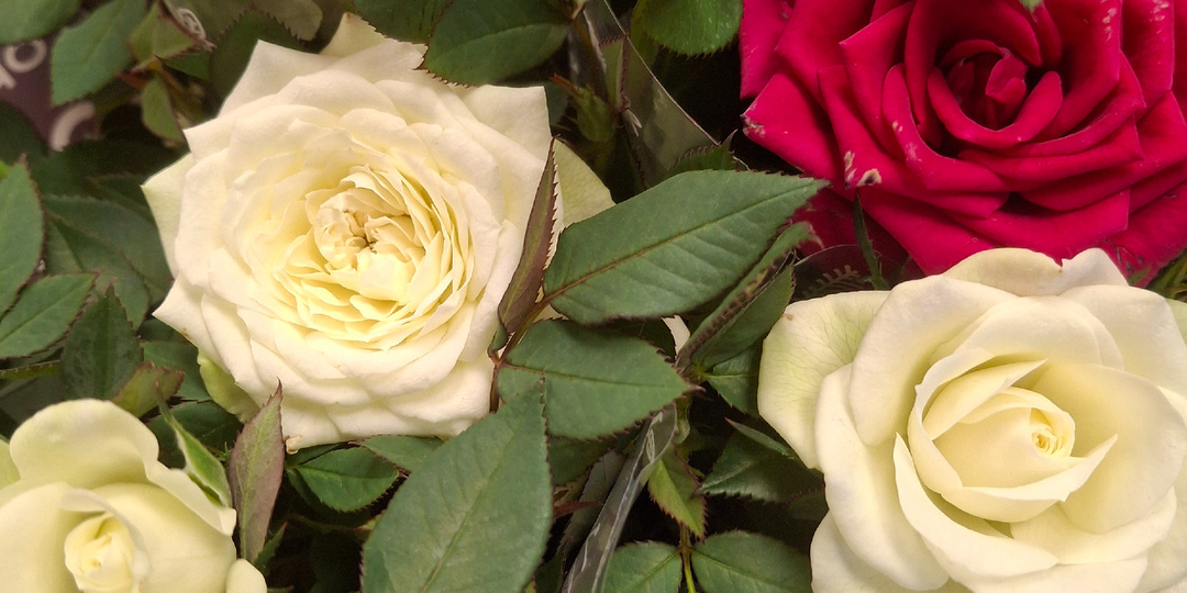 18.11.2025 Предвкушение отпуска