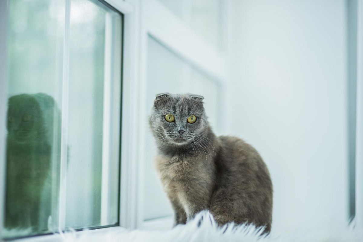 Прочитай)) Я так и не нашла свой дом((