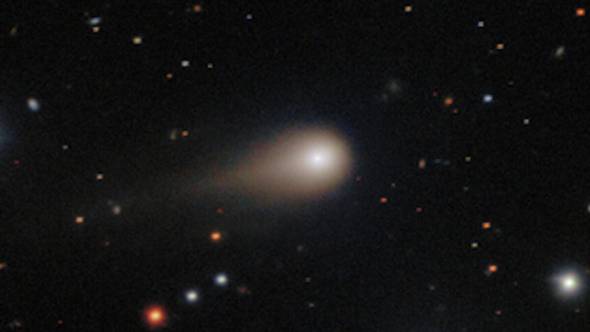 Фото: ru.wikipedia.org