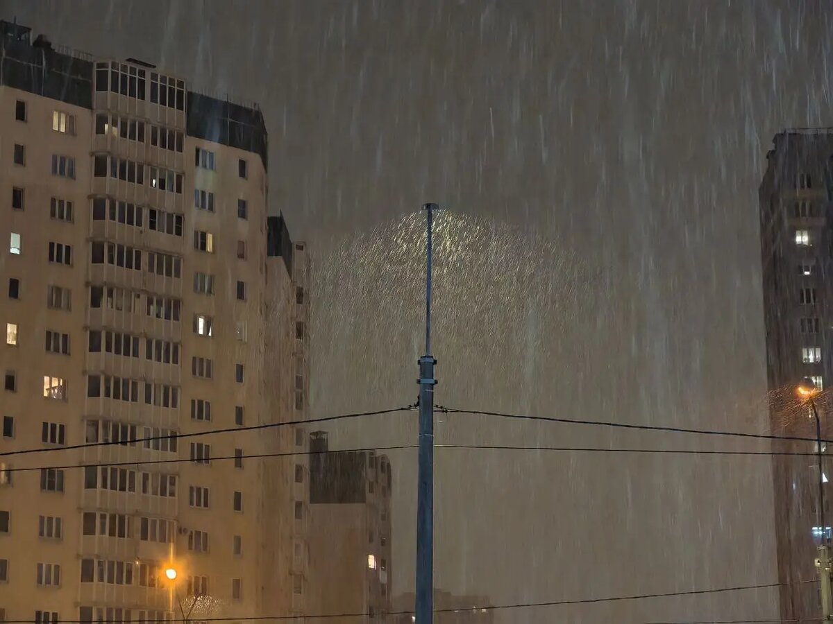    Фото: читатель Мойки78 Ролан