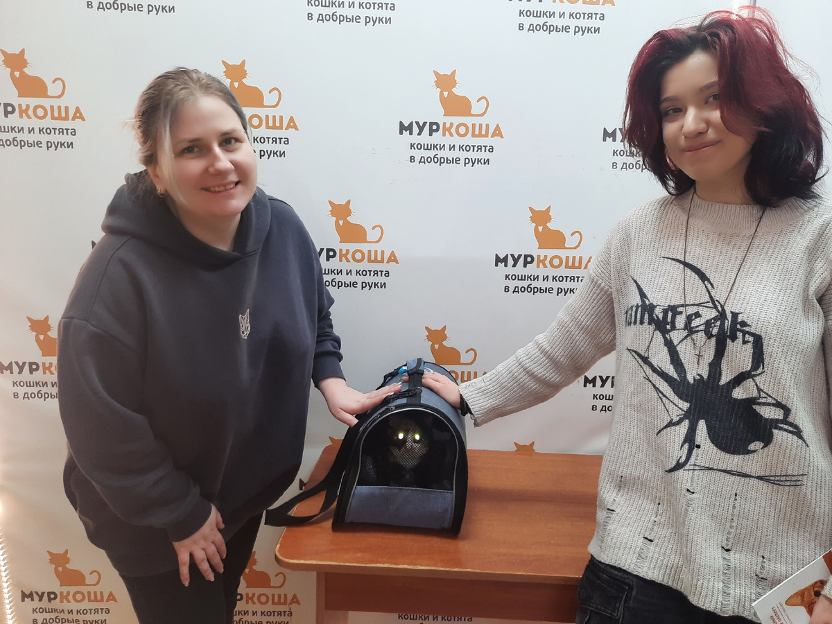 Бухта попрощалась с приютом.