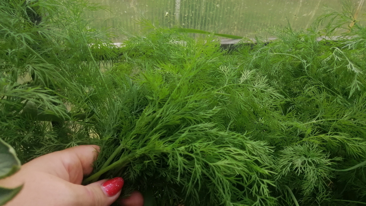 Результат после исправления 5 ошибок