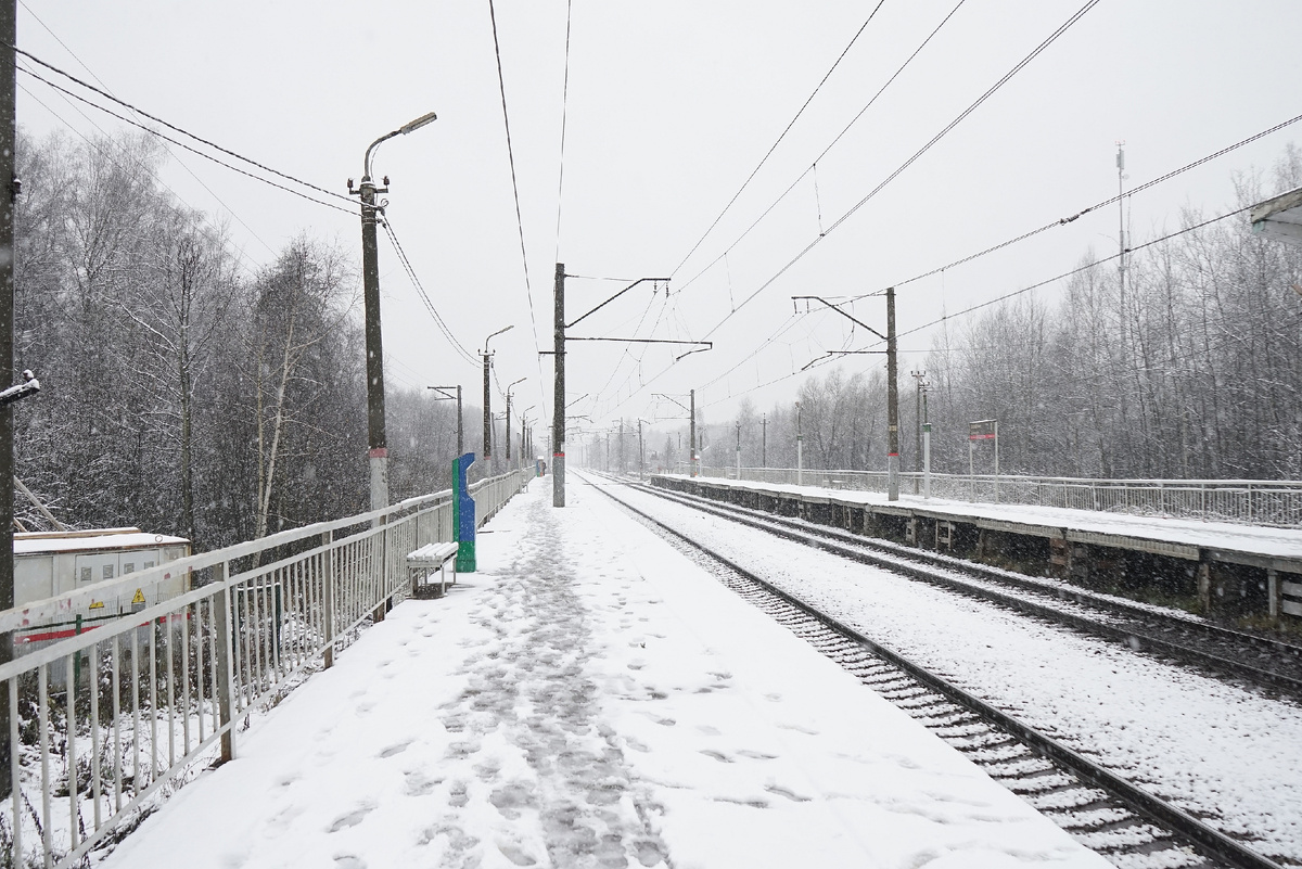 Пл. "Шевлягино" осенью 2025 года, фото автора
