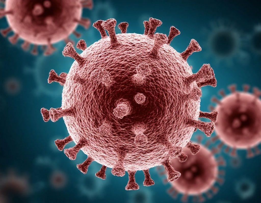    Фото: Шедеврум Редактор