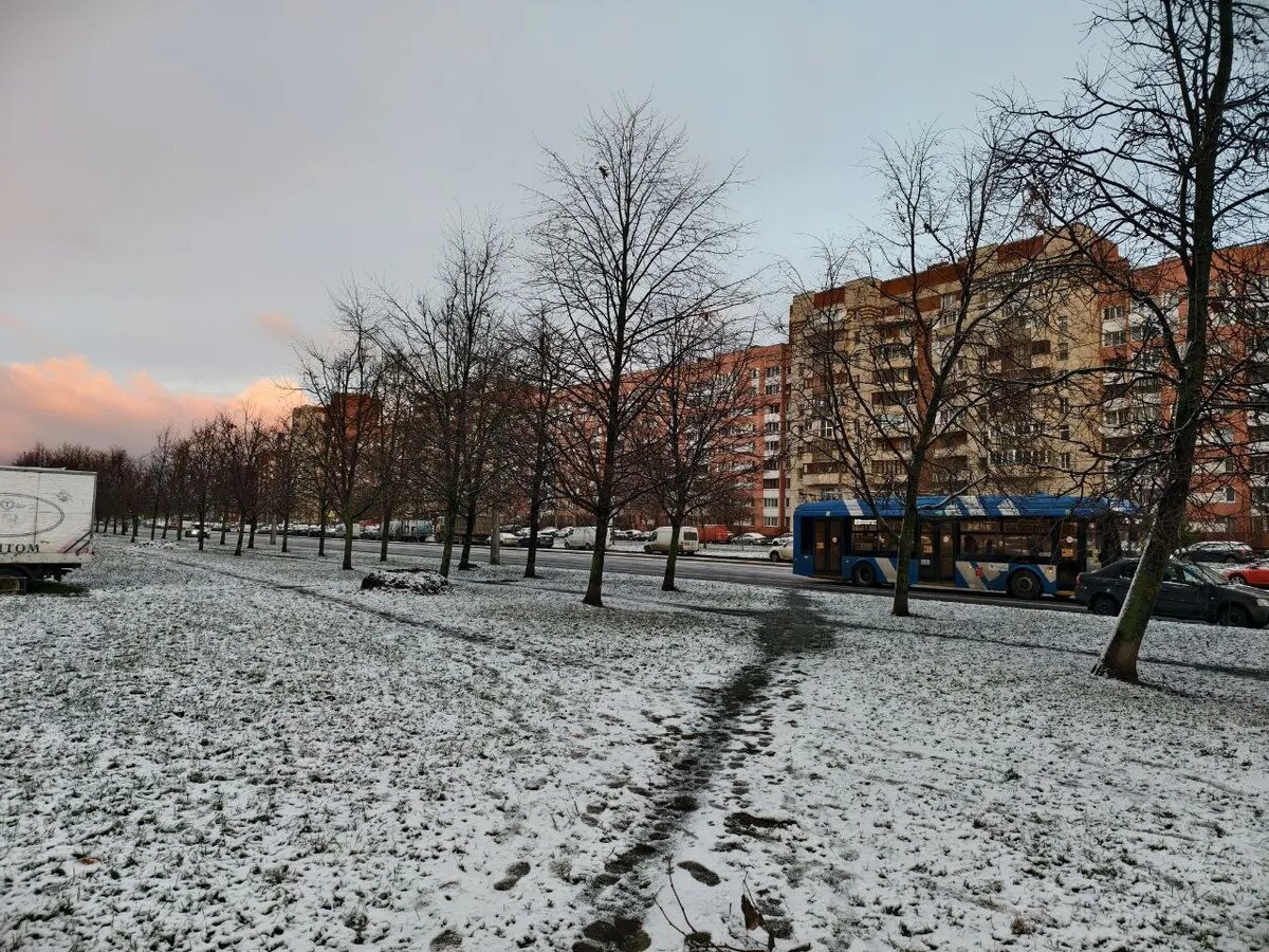    Богатырский проспект, 15 ноября. Фото: читатель Мойки78
