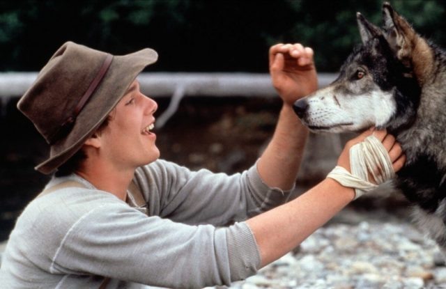    Кадр из фильма «Белый клык»