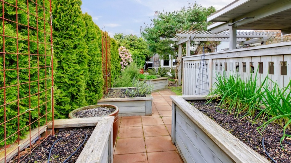 Результат двух лет "современного" огородничества - деньги на ветер