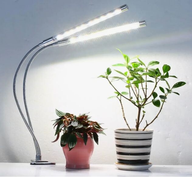 фото с сайта imall.com