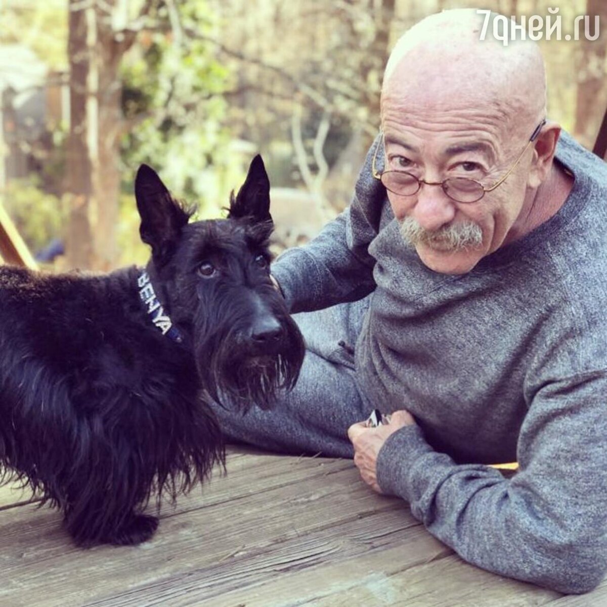    Александр Розенбаум Соцсети