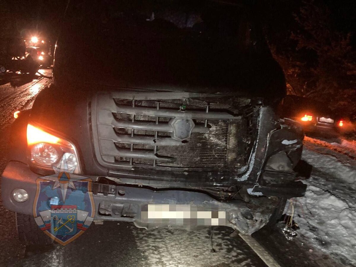    Фото: t.me/acclenobl