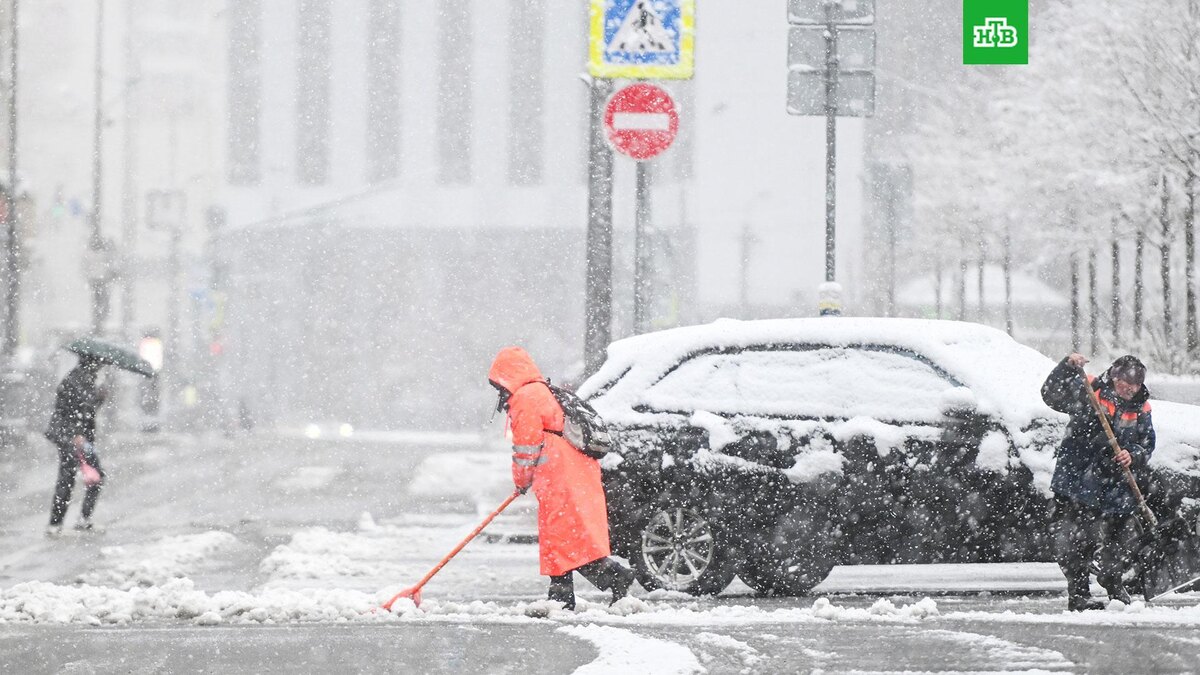    Фото: РИА Новости © 2025, Михаил Воскресенский