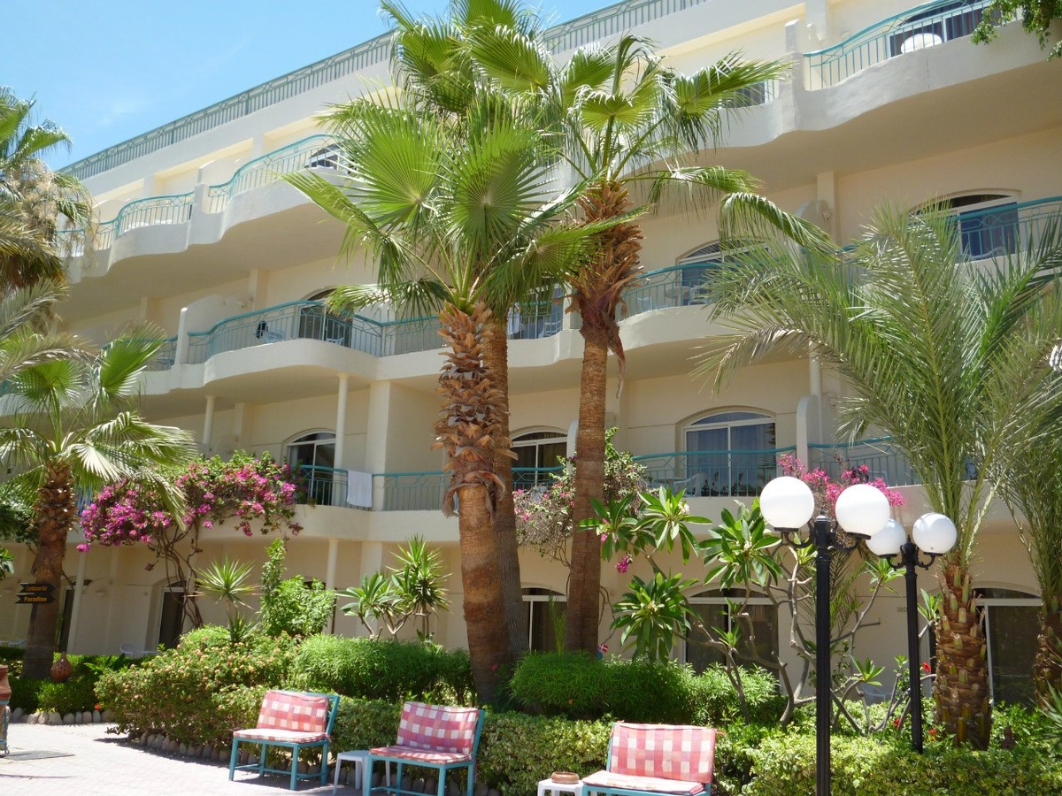 Это не Хоста. Это Хургада. Но тоже на букву Х. Фото из архива автора. 