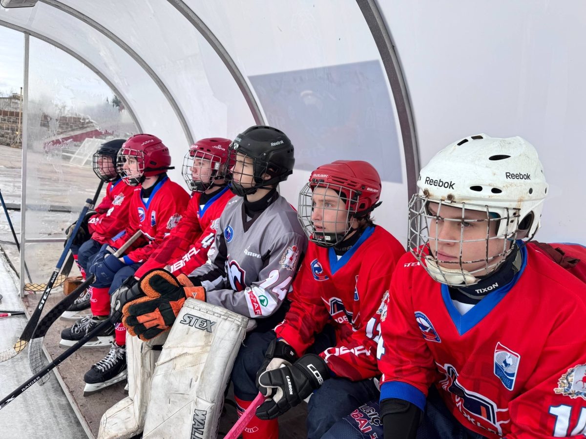    Юным хоккеистам \