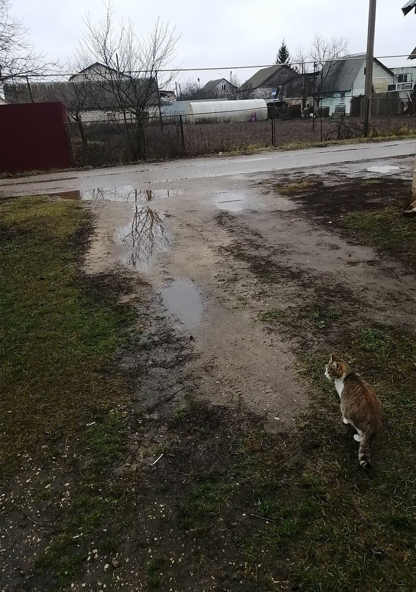 Мы с Ириской ходим парой) 