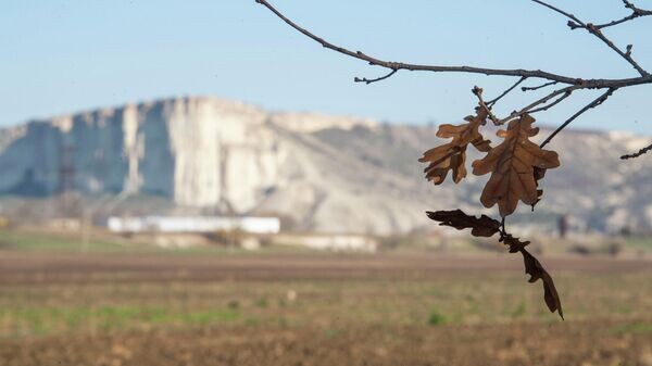    © РИА Новости Крым . Дмитрий Макеев