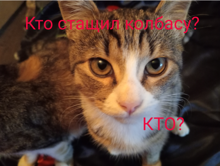 Ну не я же! Как ты могла на Невасеньку подумать