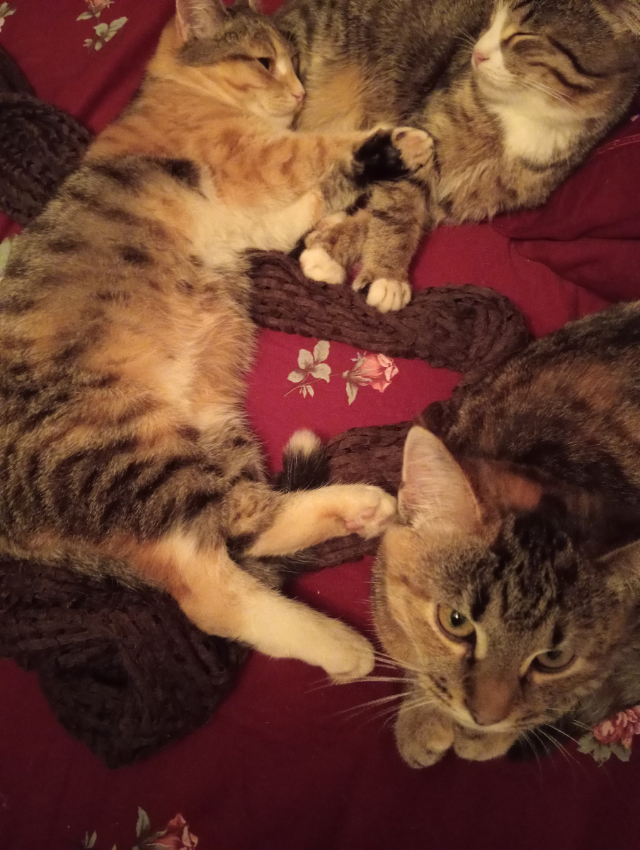 Дома тепло!