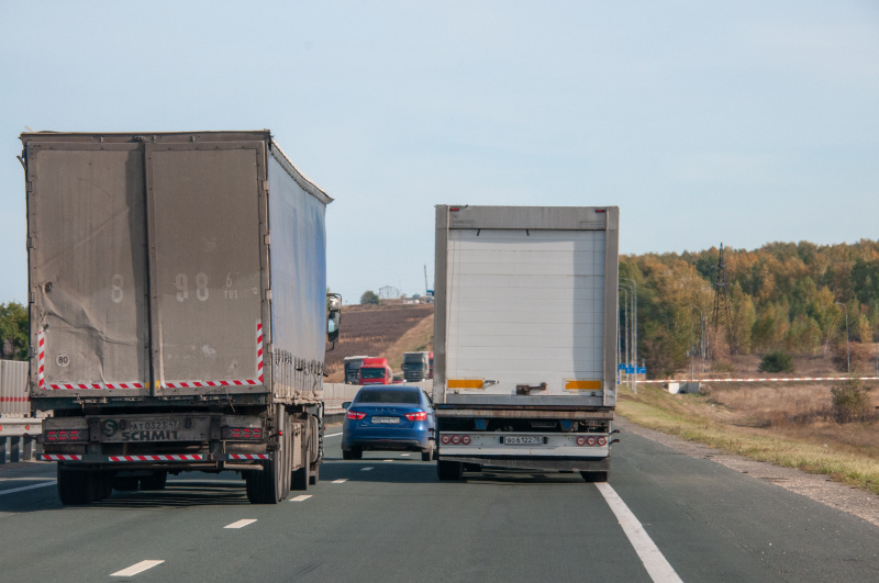    Фото: Svetlana Vozmilova/Global Look Press