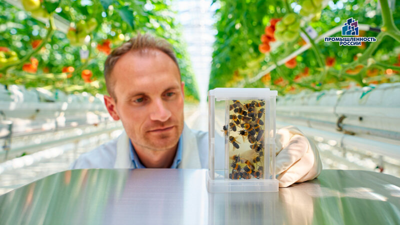    Создано в дизайн-студии "АСП"