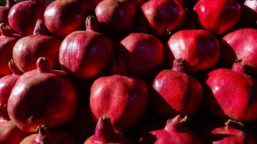    Фото: Global Look Press/Alexander Farnsworth