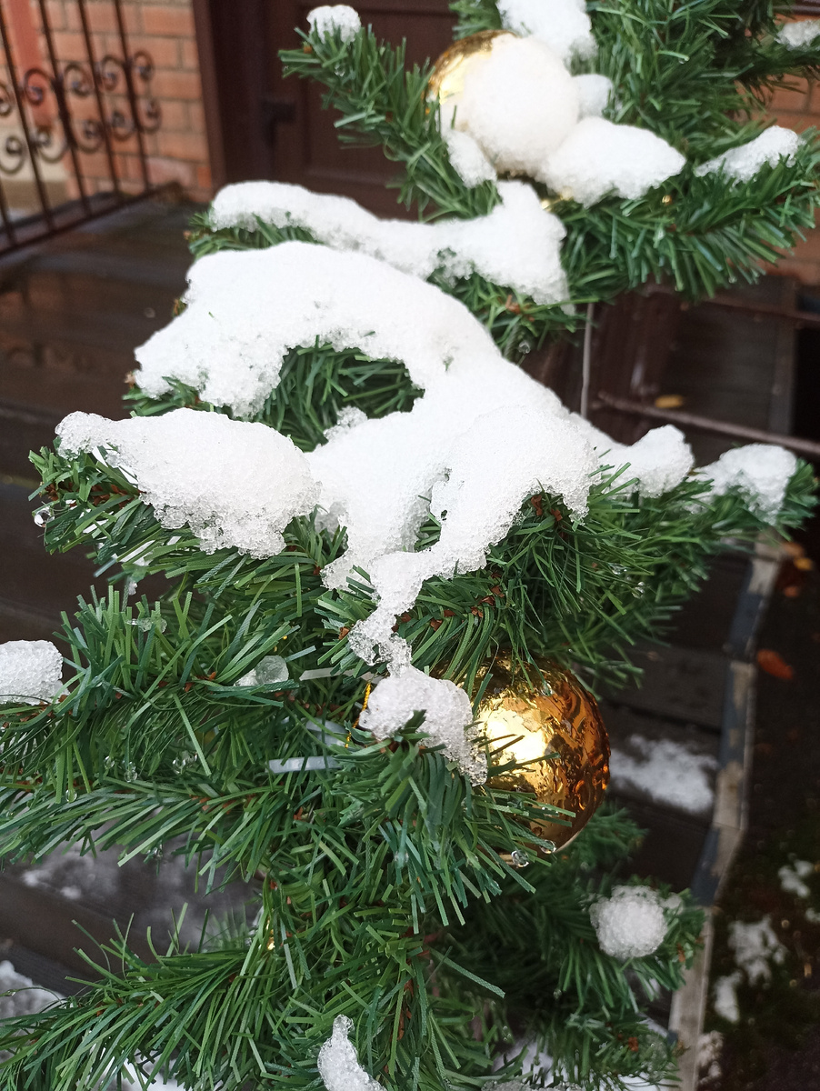 На крыльце нашего дома