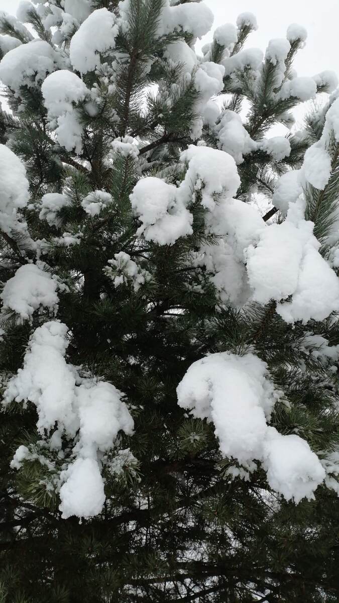 Зима пришла!)) 