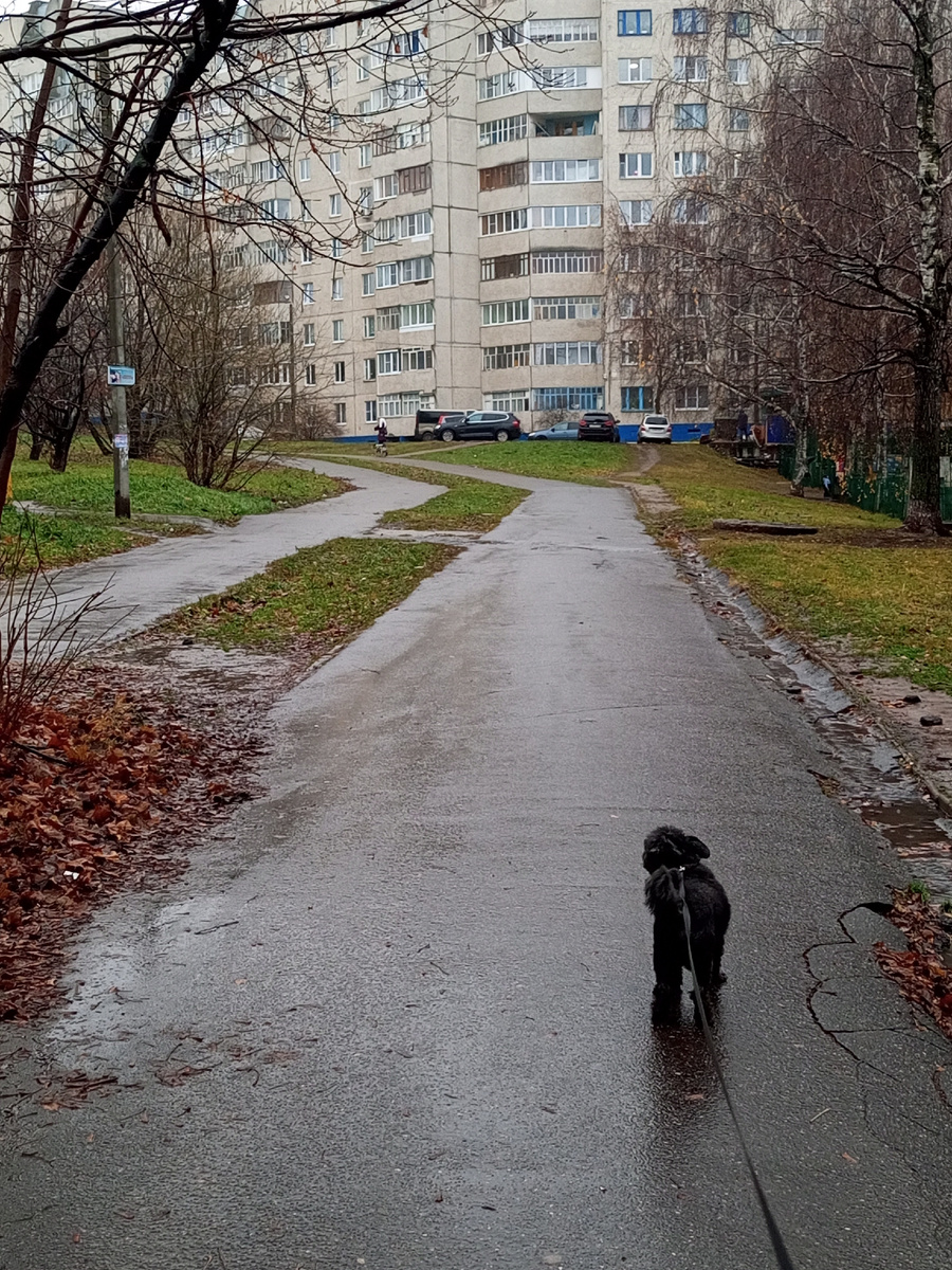 Все серее, снег вчера пошел