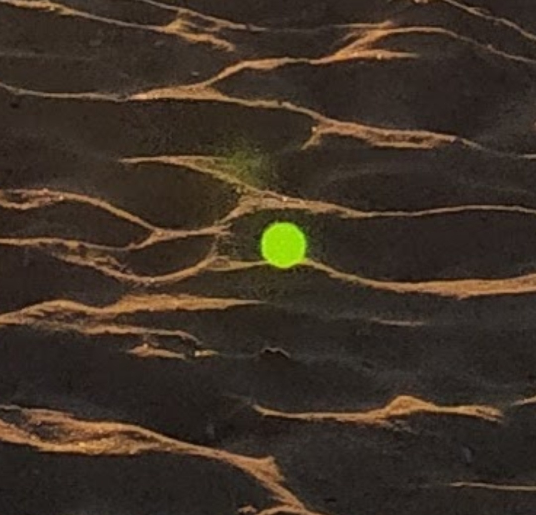 Эта душа фоталась со мною четыре года назад